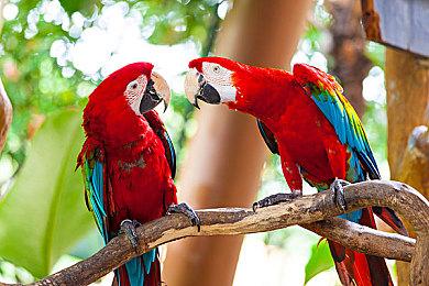 《漫威暗夜之子》“钢铁侠”英雄预告 10月7日发售